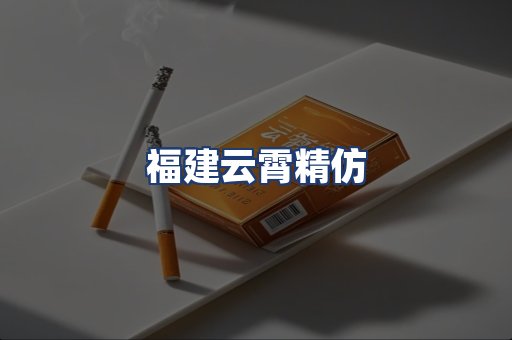 福建云霄精仿